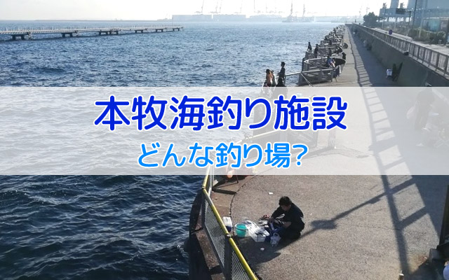 初心者ok 神奈川 本牧海釣り施設 の混雑状況やアクセス方法など