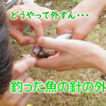 針外しで魚を外す