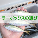 釣り用クーラーボックスの大きさの目安
