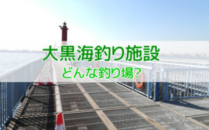初心者ok 神奈川 本牧海釣り施設 の混雑状況やアクセス方法など