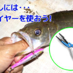 釣りやルアーではプライヤー