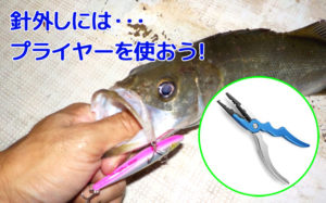 釣りやルアーではプライヤー