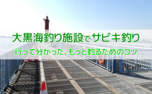 大黒海釣り施設でアジサビキ釣り
