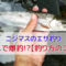 管理釣り場のニジマス釣り