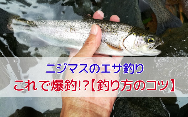管理釣り場のニジマスエサ釣り～釣り方のポイント・コツを伝授! - Rainbow03