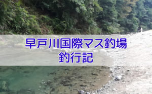 早戸川国際マス釣場の釣り