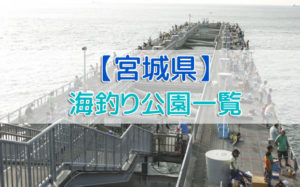 宮城県の海釣り公園