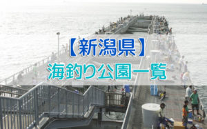 新潟県の海釣り公園
