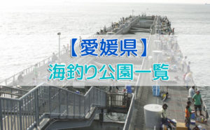 愛媛県の海釣り公園