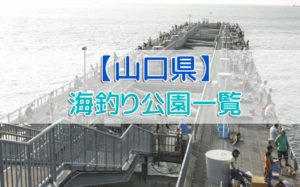 山口県の海釣り公園