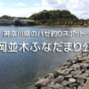 富岡並木ふなだまり公園のハゼ釣り