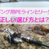 エギング用PEラインの選び方とおすすめ
