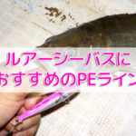 シーバス用おすすめPEライン