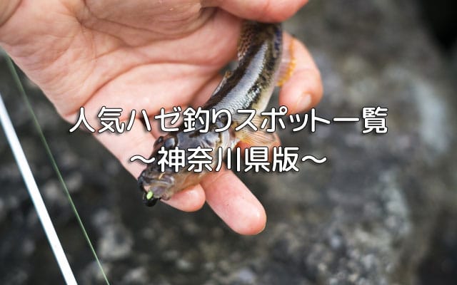 神奈川のハゼ釣り場おすすめポイント11選 東京湾 相模湾