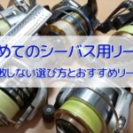 シーバス用おすすめリール