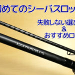 初心者向けシーバスロッドの選び方