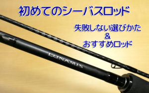 初心者向けシーバスロッドの選び方