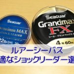 ルアーシーバスにおすすめのリーダー