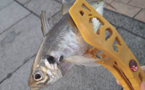 ディノグリップ