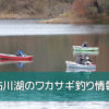 鮎川湖のワカサギ釣り