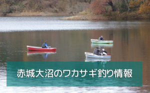 赤城大沼のワカサギ釣り