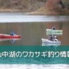 山中湖のワカサギ釣り