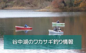 谷中湖のワカサギ釣り