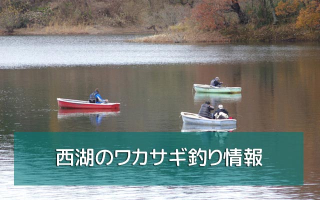 西湖 のワカサギ釣り情報 仕掛け シーズン ボートなど