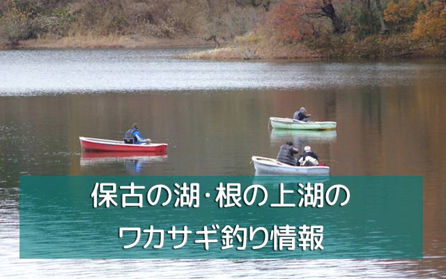 保古の湖 根の上湖 のワカサギ釣り情報 仕掛け ドーム船 ボートなど