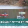 伊自良湖のワカサギ釣り