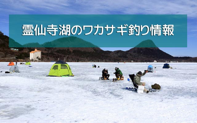 霊仙寺湖のワカサギ釣り