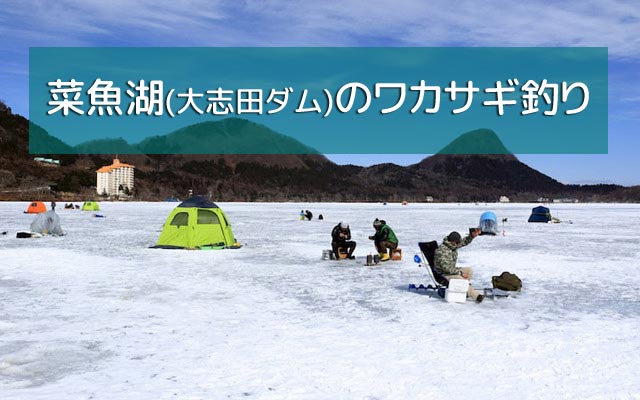 菜魚湖のワカサギ釣り