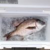 釣り用クーラーボックスの使い方