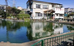 横浜市旭区東希望が丘の釣り堀【水郭園】
