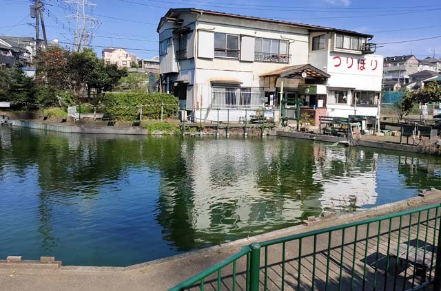 横浜市旭区東希望が丘の釣り堀【水郭園】