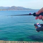 エギングの着底