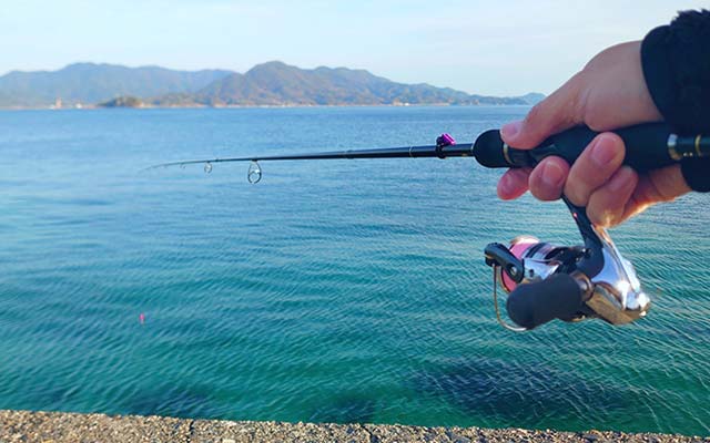 エギングの着底