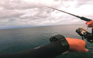 エギングのドラグ設定