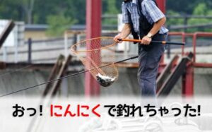 釣り餌ににんにく