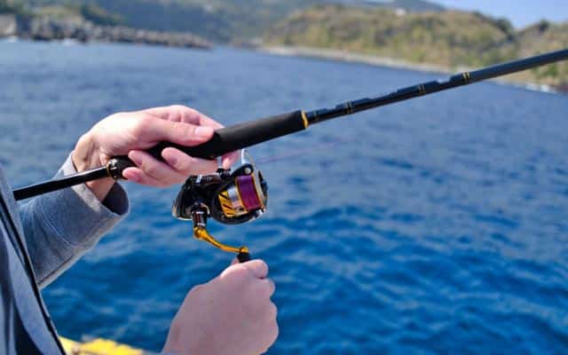 シーバスのキャスティング