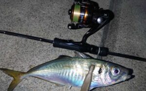 アジングリール