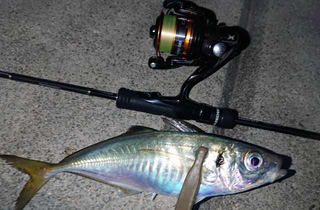 アジングリール